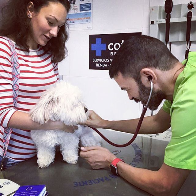 Clínica Veterinaria +cotas perro en consulta