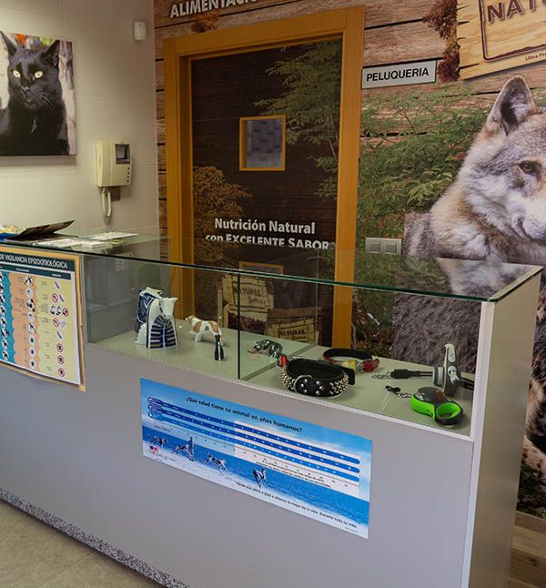 Clínica Veterinaria +cotas mostrador