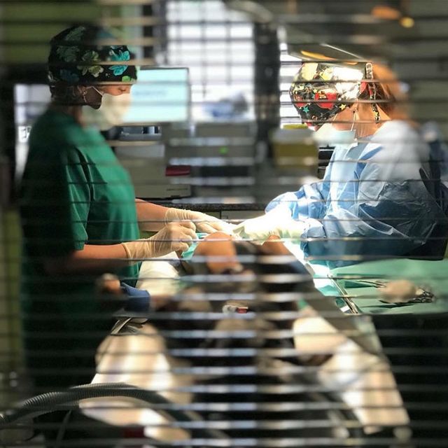 Clínica Veterinaria +cotas profesionales en cirugía