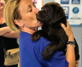 Clínica Veterinaria +cotas mujer y perro